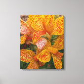 Gele Canna lelie met rode spikkels bloem Canvas Afdruk (Voorkant)