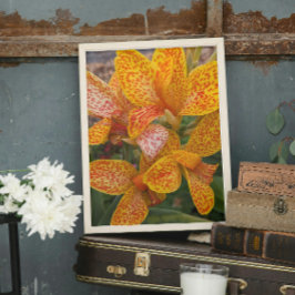 Gele Canna lelie met rode spikkels bloem Foto Afdruk