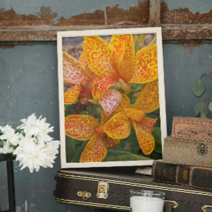 Gele Canna lelie met rode spikkels bloem Foto Afdruk