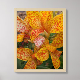 Gele Canna lelie met rode spikkels bloem Poster