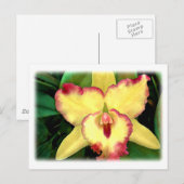 Gele Cattleya Orchid met Red Ruffle Briefkaart (Voorkant / Achterkant)