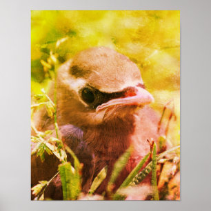 Gele cedar Waxing Fledgling Bird Abstract Poster