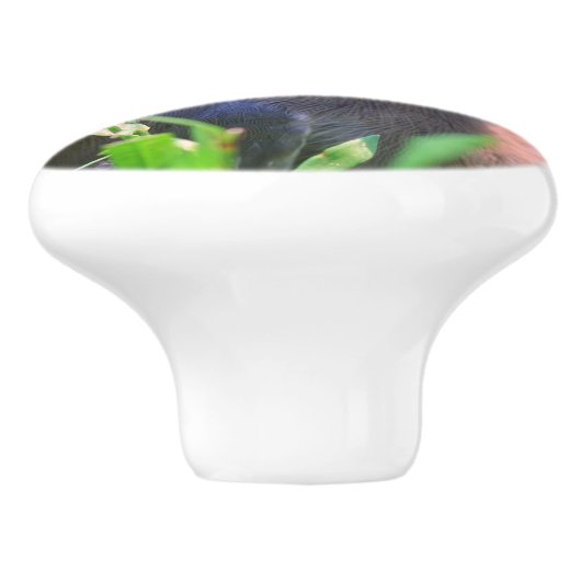 Gele cedar Waxing Fledgling Bird Keramische Knop (Zijkant)