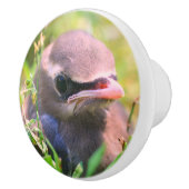 Gele cedar Waxing Fledgling Bird Keramische Knop (Rechts)