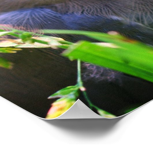 Gele cedar Waxing Fledgling Bird Poster (Hoek)