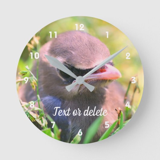 Gele cedar Waxing Fledgling Bird Ronde Klok (Voorkant)