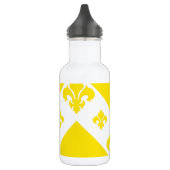 Gele Chevron 1 van de douane Waterfles (Links)