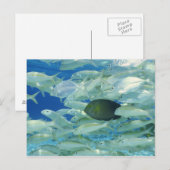 Gele chirurg met gele goudvis briefkaart (Voorkant / Achterkant)