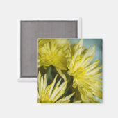 gele chrysanten magneet (Voorkant / Achterkant)