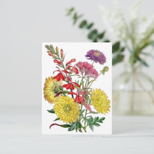 Gele chrysanthema's en paarse scabiosa-ventilator briefkaart (Staand voorkant)