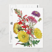 Gele chrysanthema's en paarse scabiosa-ventilator briefkaart (Voorkant / Achterkant)