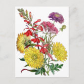 Gele chrysanthema's en paarse scabiosa-ventilator briefkaart (Voorkant)