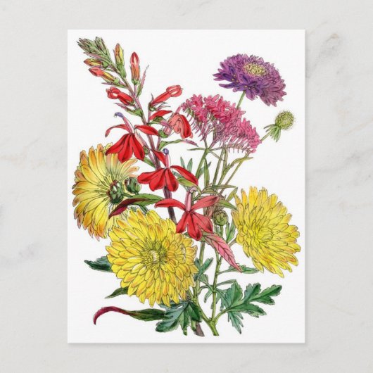 Gele chrysanthema's en paarse scabiosa-ventilator briefkaart (Voorkant)