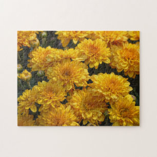 Gele chrysanthemum bloemen tuin puzzel