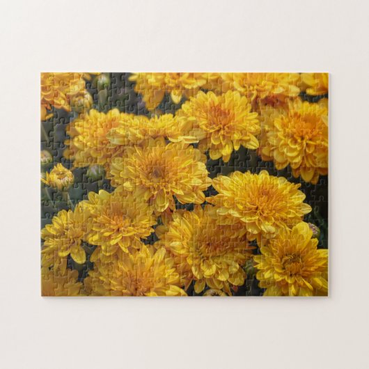 Gele chrysanthemum bloemen tuin puzzel (Horizontaal)