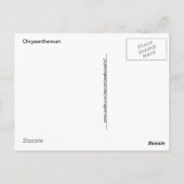 Gele chrysanthemum macrofoto briefkaart (Achterkant)