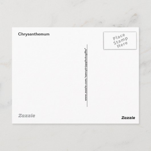 Gele chrysanthemum macrofoto briefkaart (Achterkant)