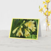 Gele clivea bloeit met gele randkaart kaart (Gele Bloem)