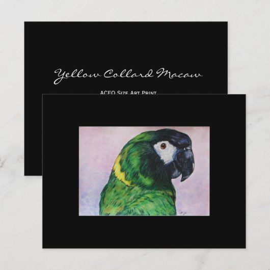Gele Collared Macaw ACEO Art Trading Card Briefkaart (Voorkant / Achterkant)