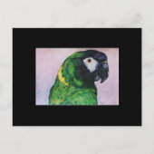 Gele Collared Macaw ACEO Art Trading Card Briefkaart (Voorkant)