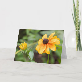 gele coneflower noot kaart