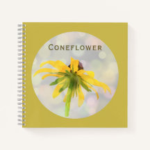Gele Coneflower op Oud Goud