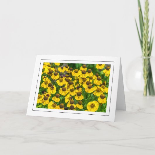 Gele coneflowers wenskaart kaart (Voorkant)