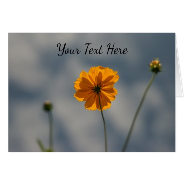 Gele Coreopsis (Voorkant Horizontaal)