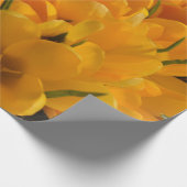 Gele crocus flavus - Gele gouden bloemen Cadeaupapier (Hoek)