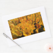 Gele crocus flavus - Gele gouden bloemen Rechthoekige Sticker (Envelop)