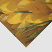 Gele crocus flavus - Gele gouden bloemen Tissuepapier (Detail)