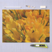 Gele crocus flavus - Gele gouden bloemen Tissuepapier (Craft)