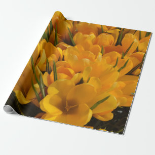 Gele Crocus flavus - Gouden Gele Bloemen Cadeaupapier