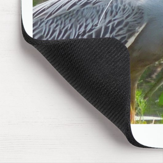 Gele Crown Night Heron Muismat (Hoek)