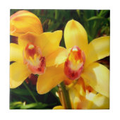 Gele Cymbidium Orchid Ceramic Tile Tegeltje (Voorkant)