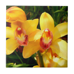 Gele Cymbidium Orchid Ceramic Tile Tegeltje