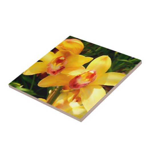 Gele Cymbidium Orchid Ceramic Tile Tegeltje (Zijkant)