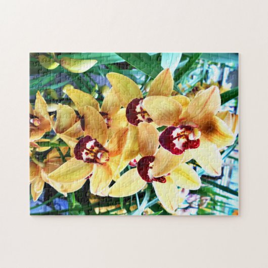 Gele Cymbidiumorchideeën Legpuzzel (Horizontaal)