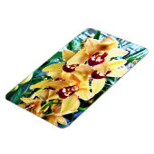 Gele Cymbidiumorchideeën Magneet (Linkerzijde)