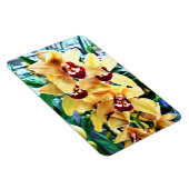 Gele Cymbidiumorchideeën Magneet (Rechterzijde)