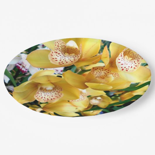 Gele Cymbidiumorchideeën Papieren Bordje (Gekanteld)