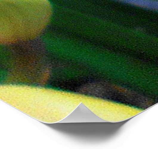 Gele Cymbidiumorchideeën Poster (Hoek)