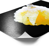 Gele Daffodil bedekt met wintersneeuw Foto Afdruk (Hoek)