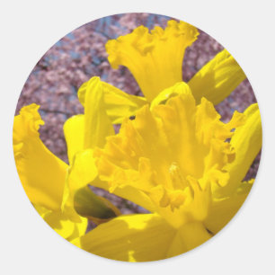 Gele Daffodil Bloemen stickers Envelop afdichtinge