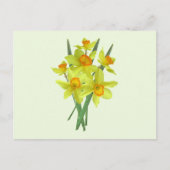 Gele Daffodil Flowers Briefkaart (Voorkant)