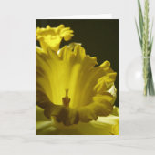 Gele Daffodil Flowers Kaart (Voorkant)