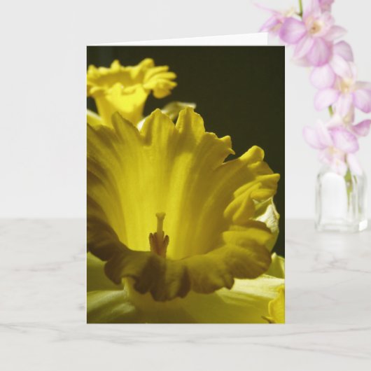 Gele Daffodil Flowers Kaart (Orchidee)
