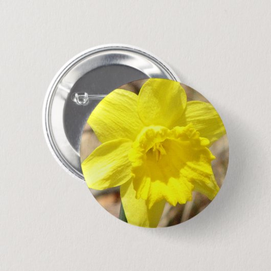 Gele Daffodil Flowers Ronde Button (Voorkant /achterkant)