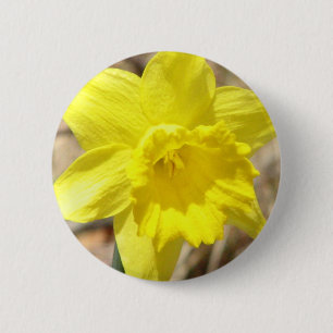 Gele Daffodil Flowers Ronde Button