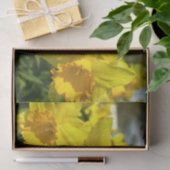 Gele Daffodil Flowers Tissuepapier (Geschenk)